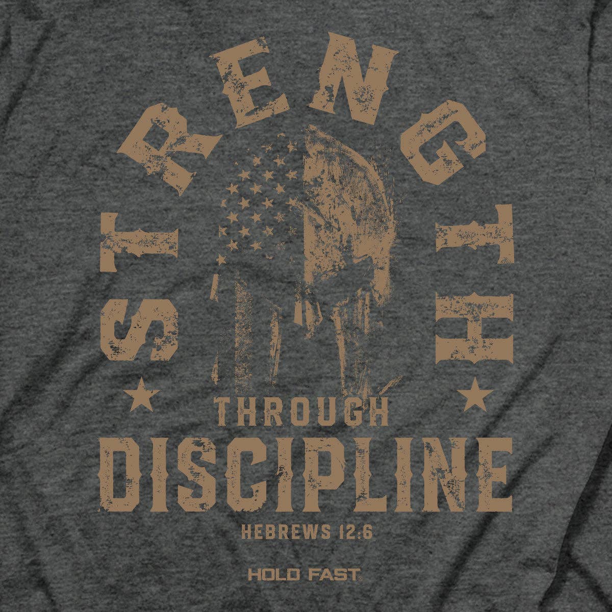 HOLD FAST Mens T-Shirt Strength Through Discipline: Dark Heather / MD