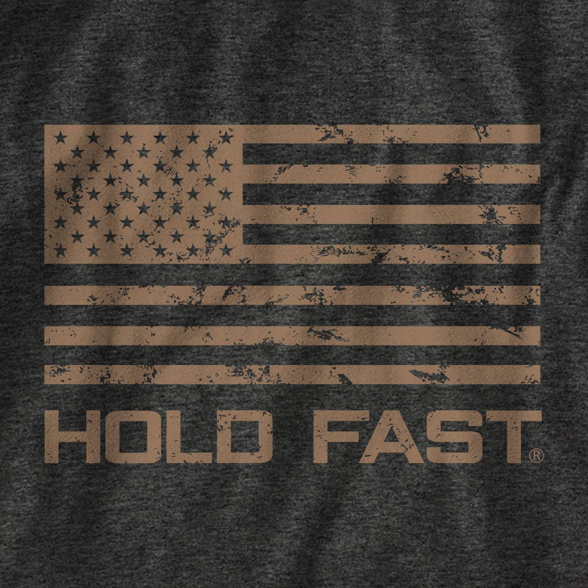HOLD FAST Mens T-Shirt Strength Through Discipline: Dark Heather / MD